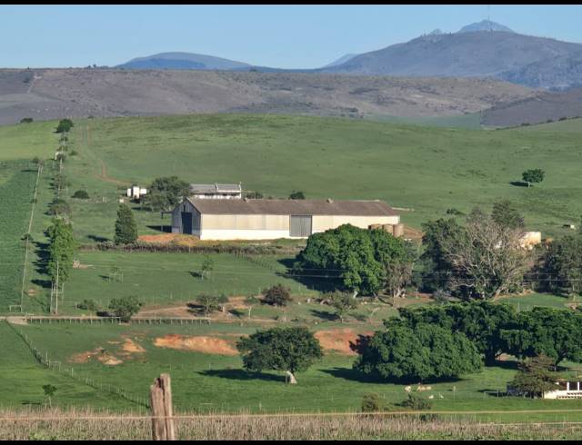 539HA FARM FOR SALE IN RIVERSDALE RURAL